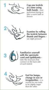 april is testicular cancer awareness month
