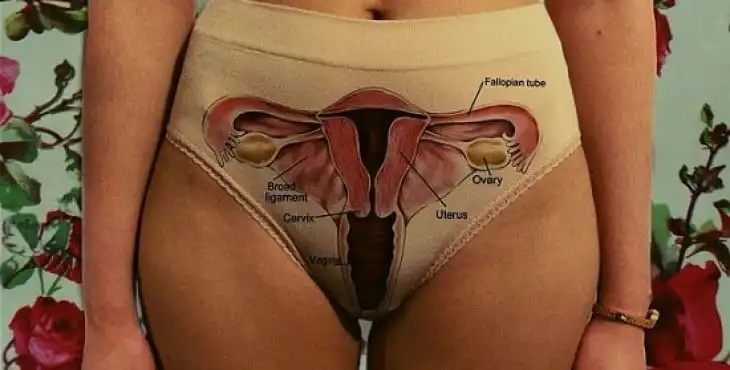 kegel