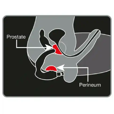 Bad Boy Prostate Massager 2 1