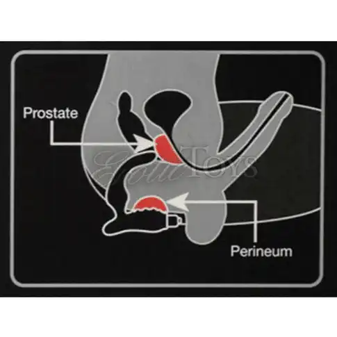 Bad Boy Prostate Massager 4 1