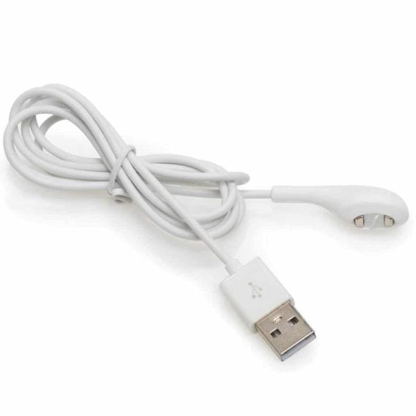 Magnetic charger 1