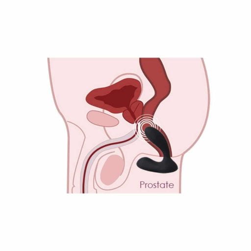 Svakom-Vick-Prostate-Massager
