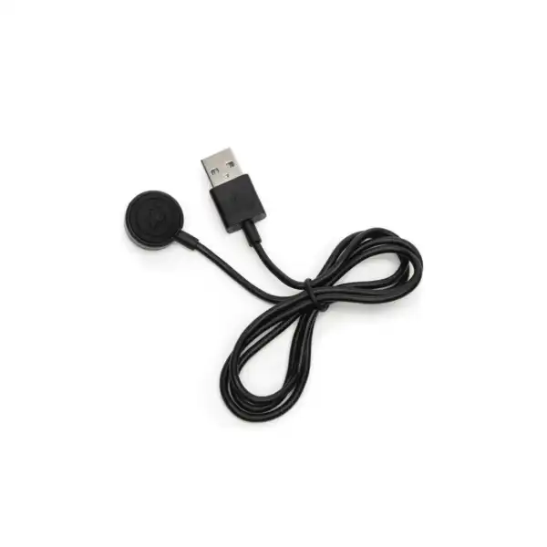 Womanizer Magnetic Charger 1